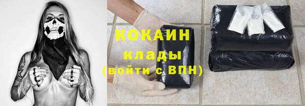 прущие грибы Богданович