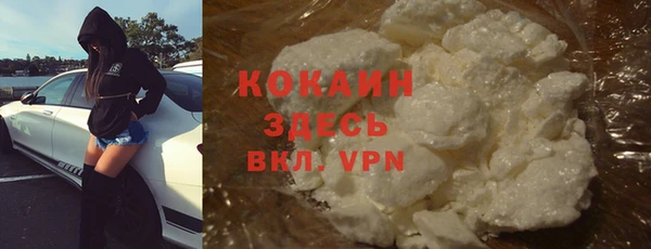 прущие грибы Богданович