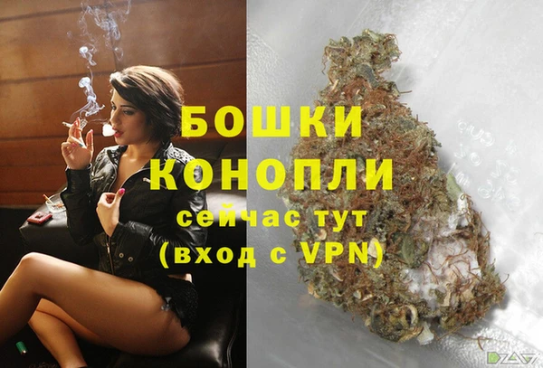 сатива Богородицк