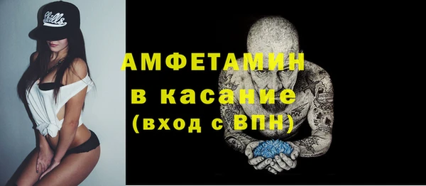 прущие грибы Богданович