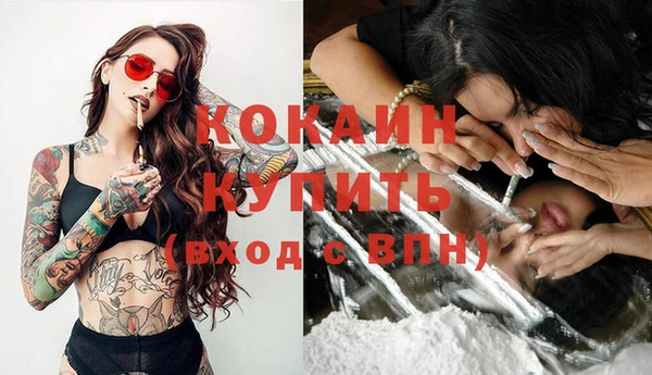 прущие грибы Богданович