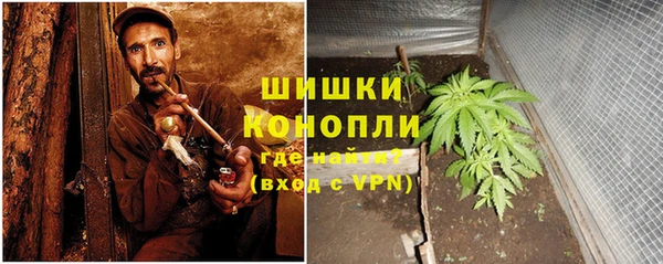 прущие грибы Богданович