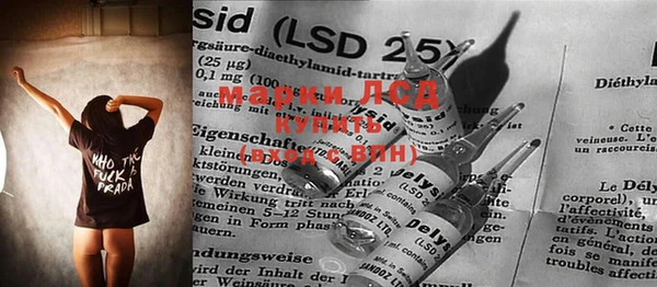 прущие грибы Богданович