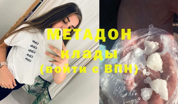 прущие грибы Богданович