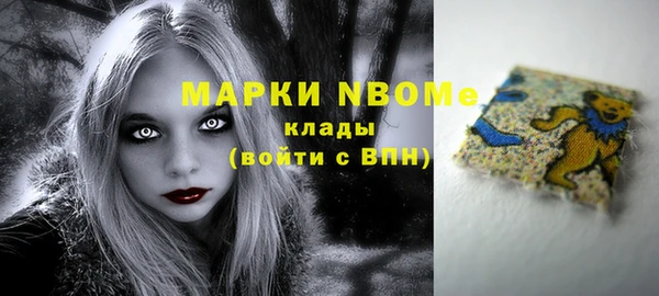 прущие грибы Богданович