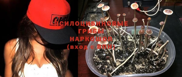 сатива Богородицк