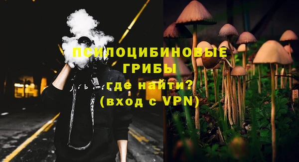 амф Богородск