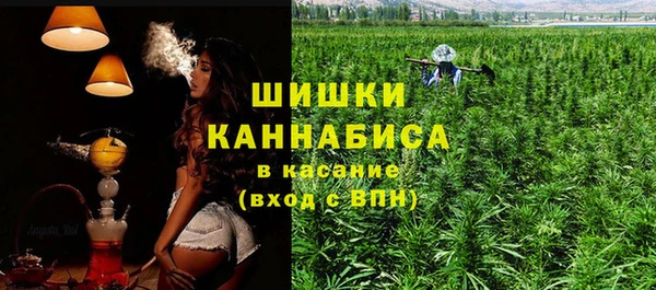 амф Богородск